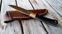 Load image into Gallery viewer, JB custom hunting knife, Surgeon pro.